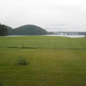 Meet your Posher, Janey